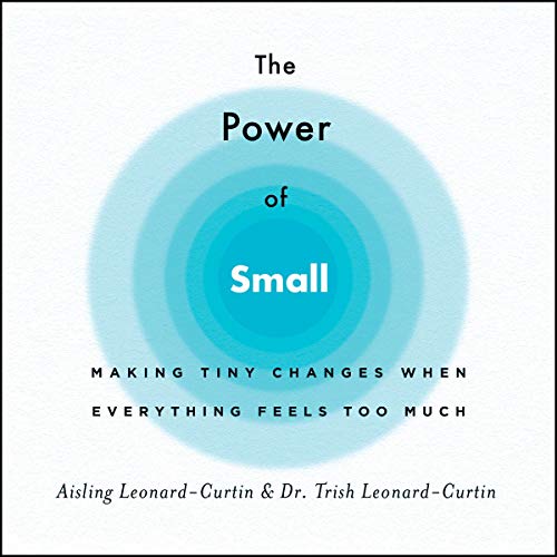 The Power of Small: Making Tiny but Powerful Changes When Life Feels Too Much